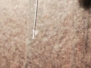 Images Of Evidence Sent To Sherwood Police Department