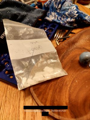 Thea Magnusson buying meth from LA, CA and shipping through USPS