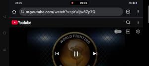 Sarah Elkind's professional MMA record