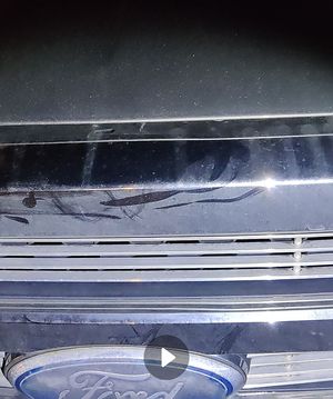 Thea Magnusson had two of her sycophants break into a truck.