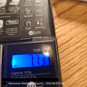 Thea Magnusson receiving meth from Eric White