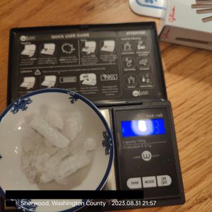 Thea Magnusson receiving meth from Eric White