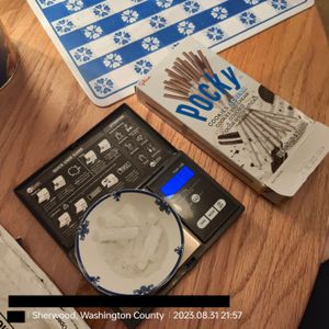 Thea Magnusson receiving meth from Eric White